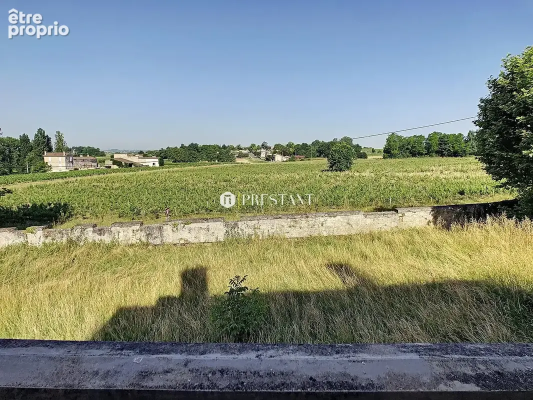 Domaine d'exception classé Monument Historique avec maison rénovée et vue sur Saint-Emilion - photo 18