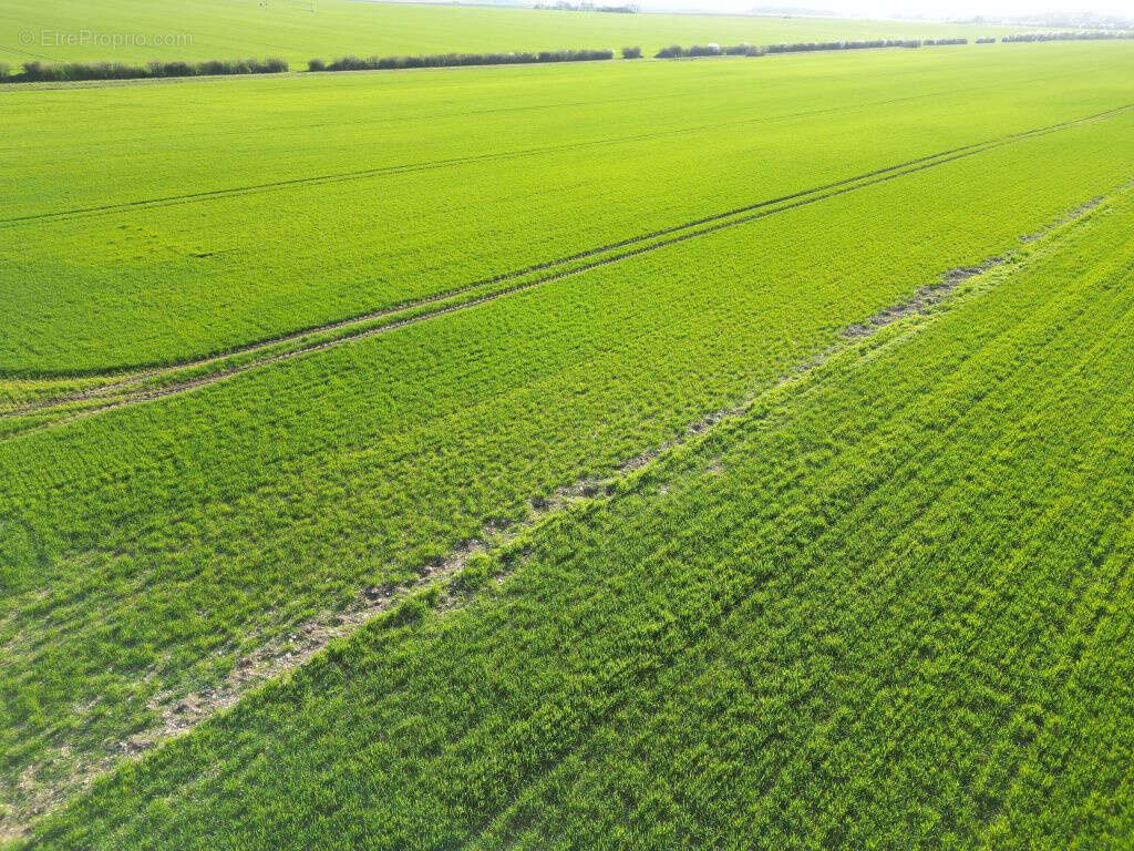 Terrain à VINEUIL