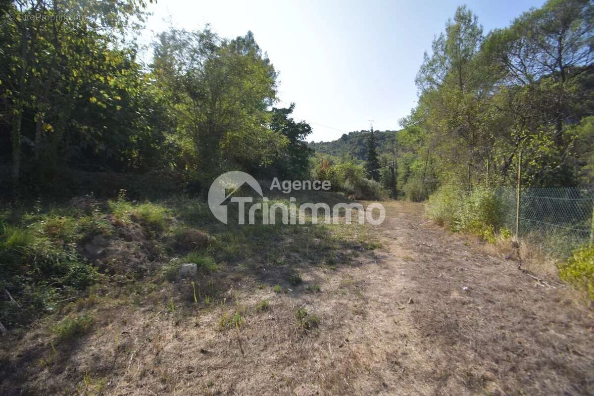 Vente Berre les Alpes Terrain Constructible - photo 3