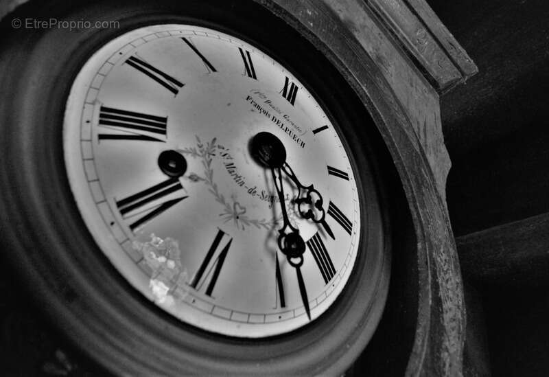 Maison à SAINT-MARTIN-DE-SEIGNANX