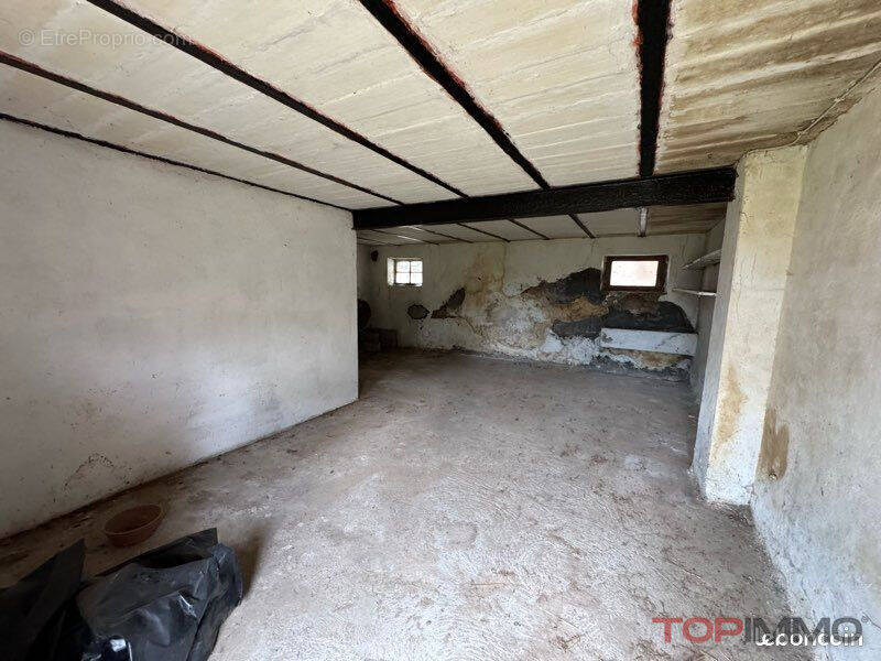 Terrain Ruelisheim 602 m2 - photo 2