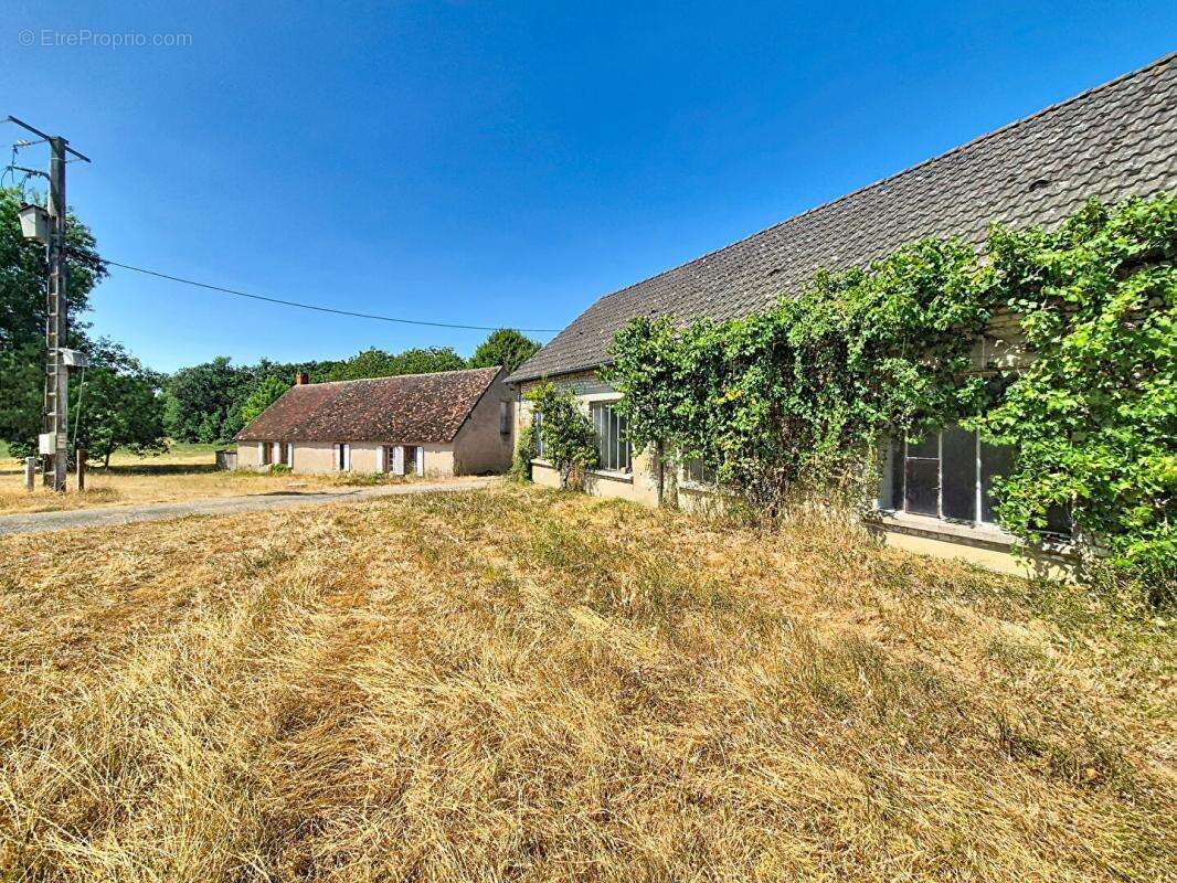 Un domaine de 11,6 hectares aux portes d'Avord - photo 2