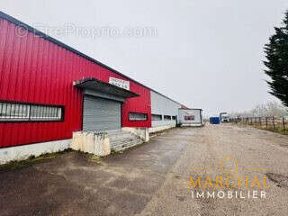 Commerce à ARS-SUR-MOSELLE