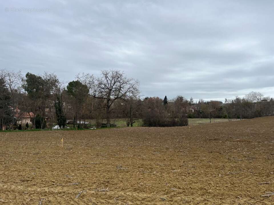 Terrain 983 m² à Verfeil  - photo 2