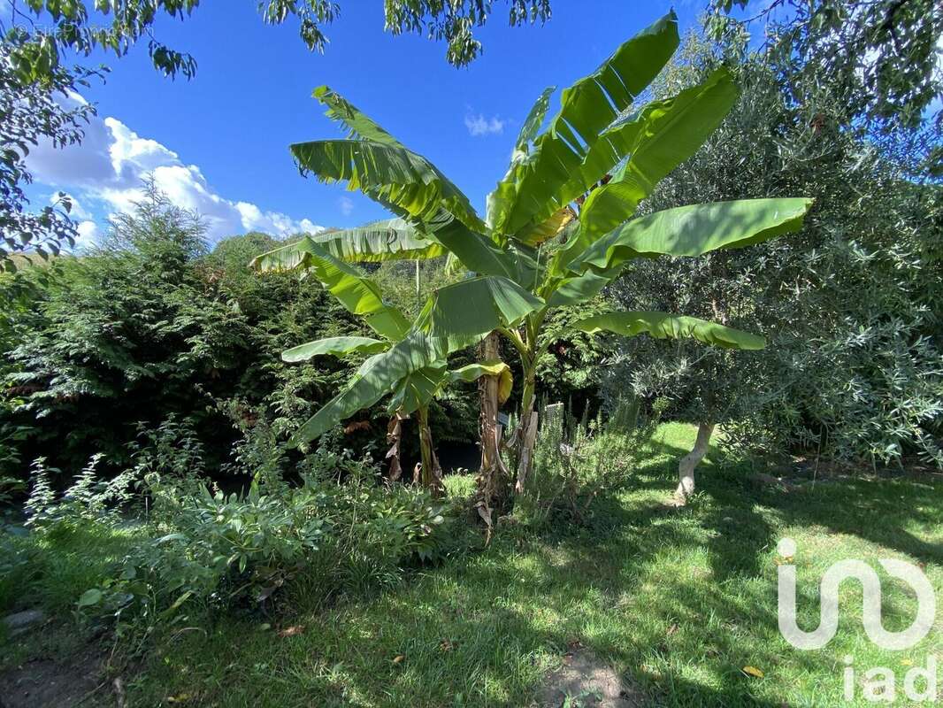 Photo 3 - Maison à SAINT-FARGEAU-PONTHIERRY