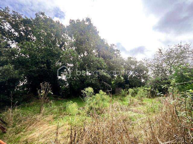 Terrain à NOYAL-MUZILLAC