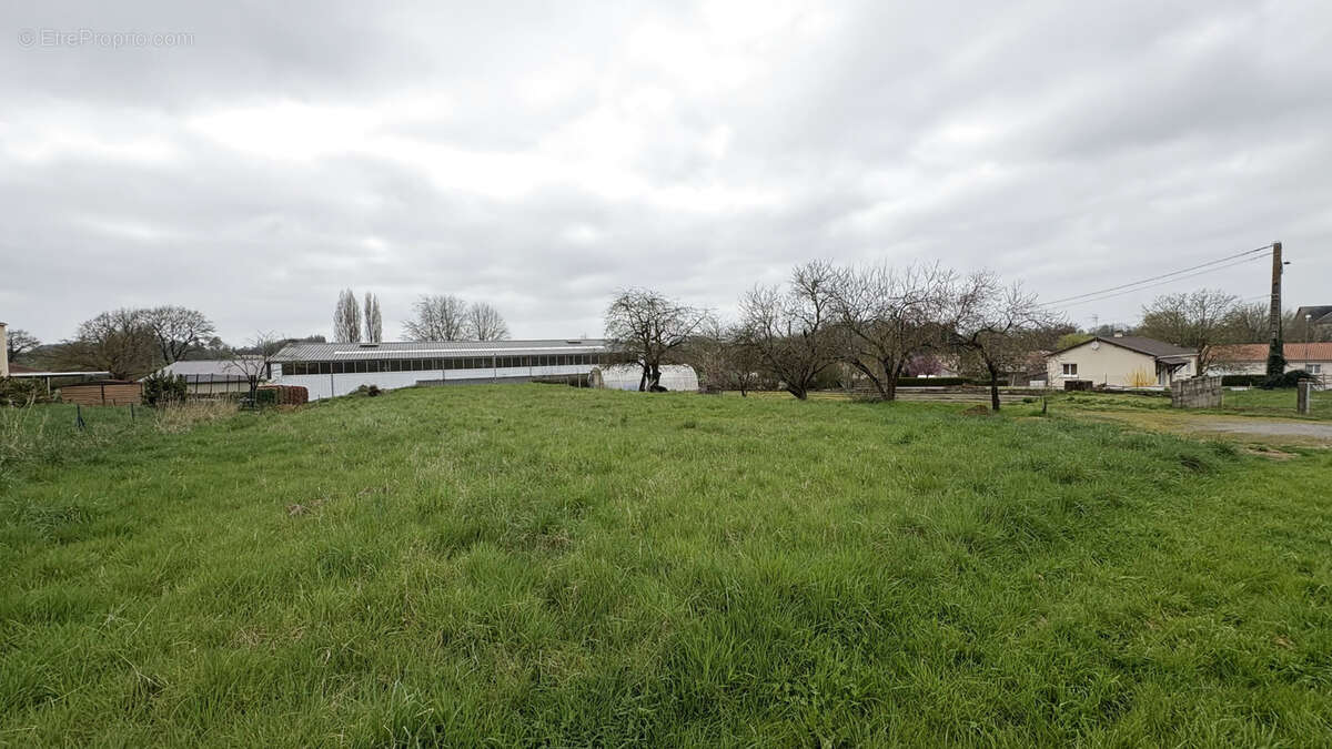 Terrain à bâtir en vente sur Chemillé-en-Anjou - Exclusivité AMP - photo 3