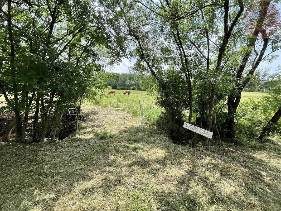 Terrain à DURFORT-ET-SAINT-MARTIN-DE-SOSSENAC