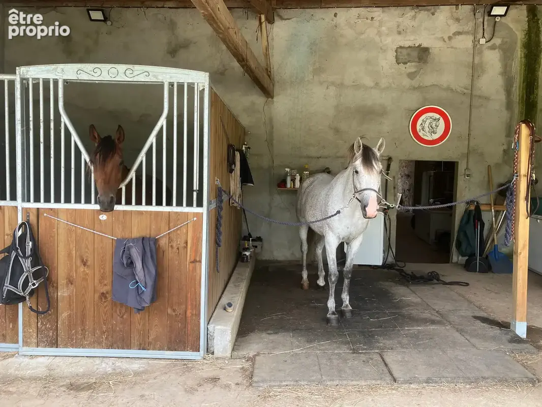 Maison 217 m² à Chateauneuf-Sur-Charente  - photo 6