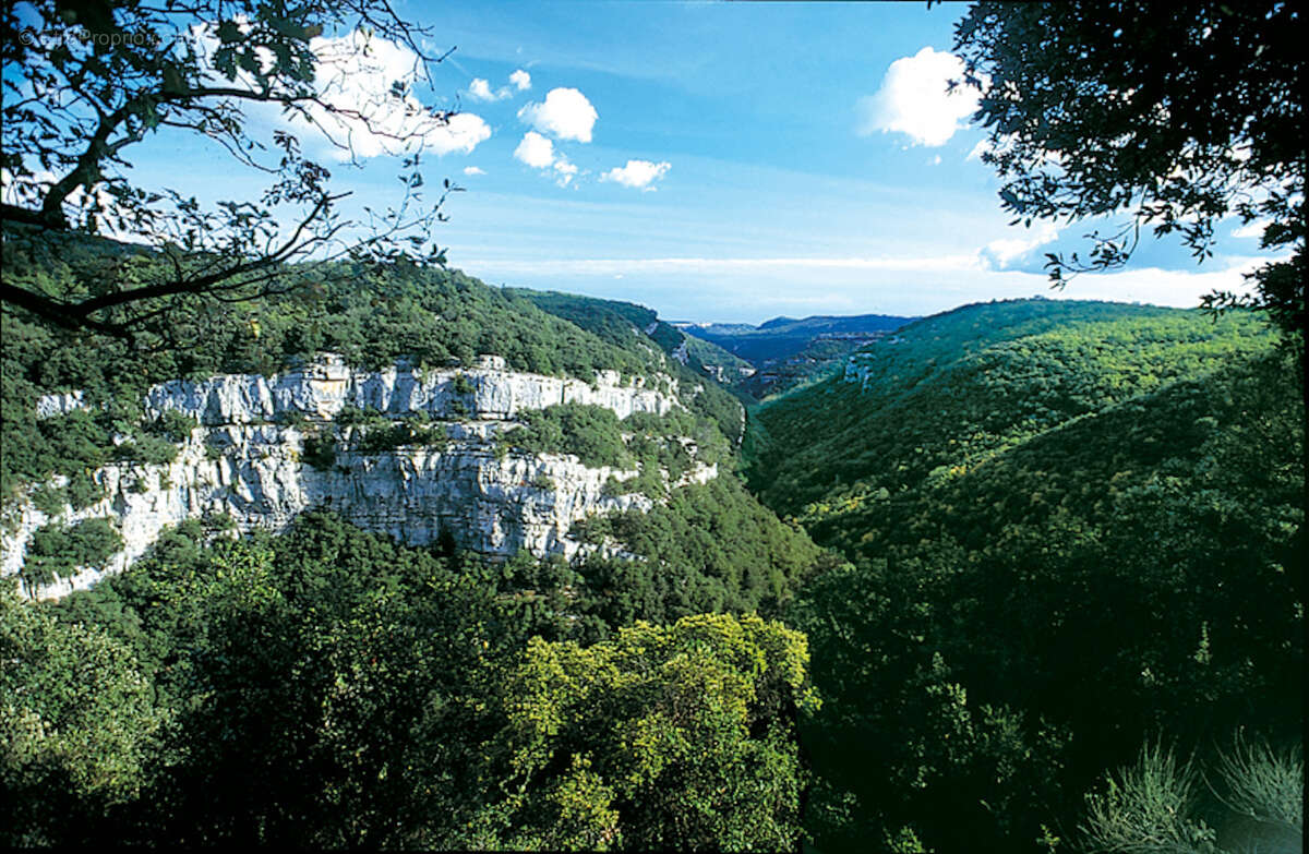 Maison à BAGNOLS-EN-FORET