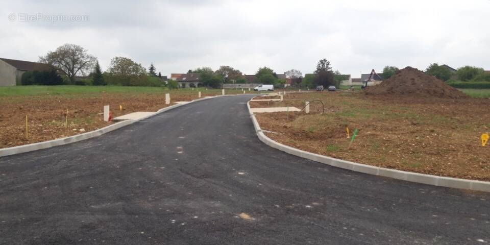 Terrain à CHAMPMOTTEUX