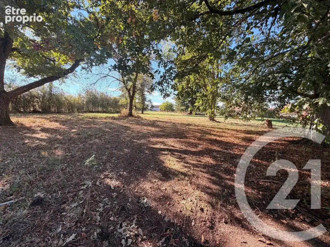 Terrain 2 449 m² à vendre à Surgy (58500) - photo 4