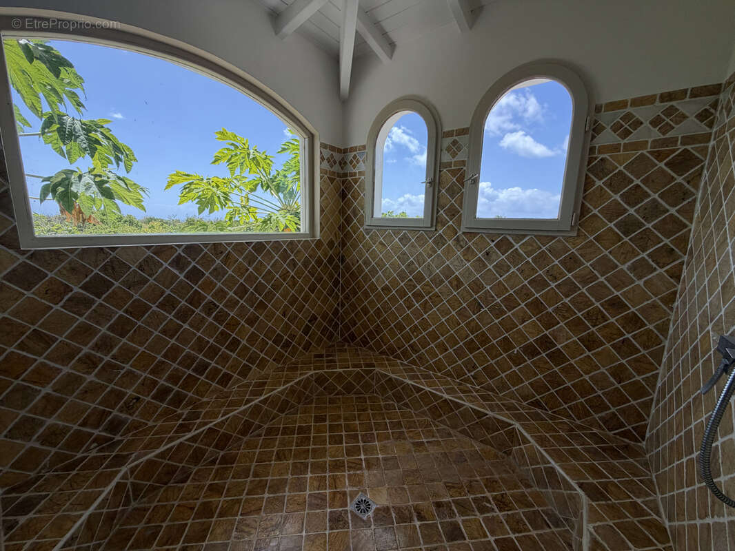 Propriété d'exception — Terres Basses, Saint-Martin - photo 28