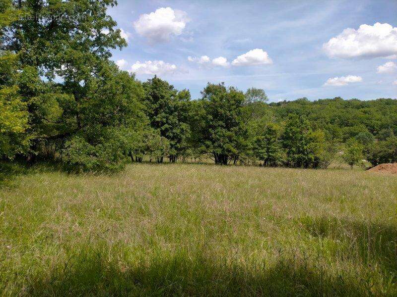 Photo 2 - Terrain à LUZECH