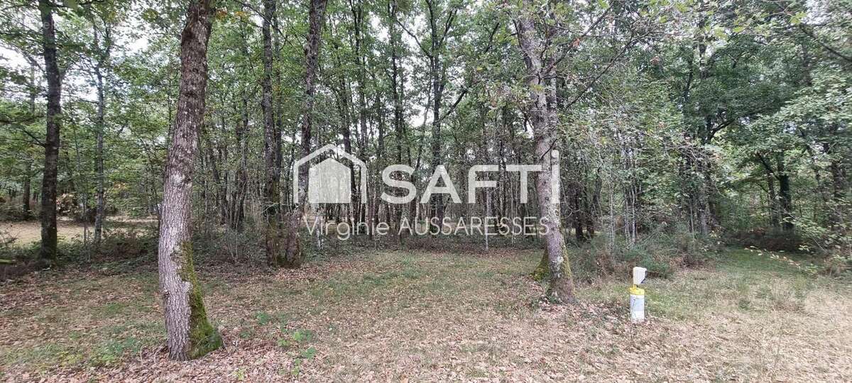 Photo 7 - Commerce à SERIGNAC