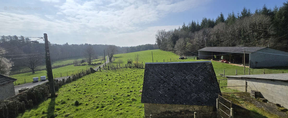 Maison à SAINT-JULIEN-LE-PELERIN
