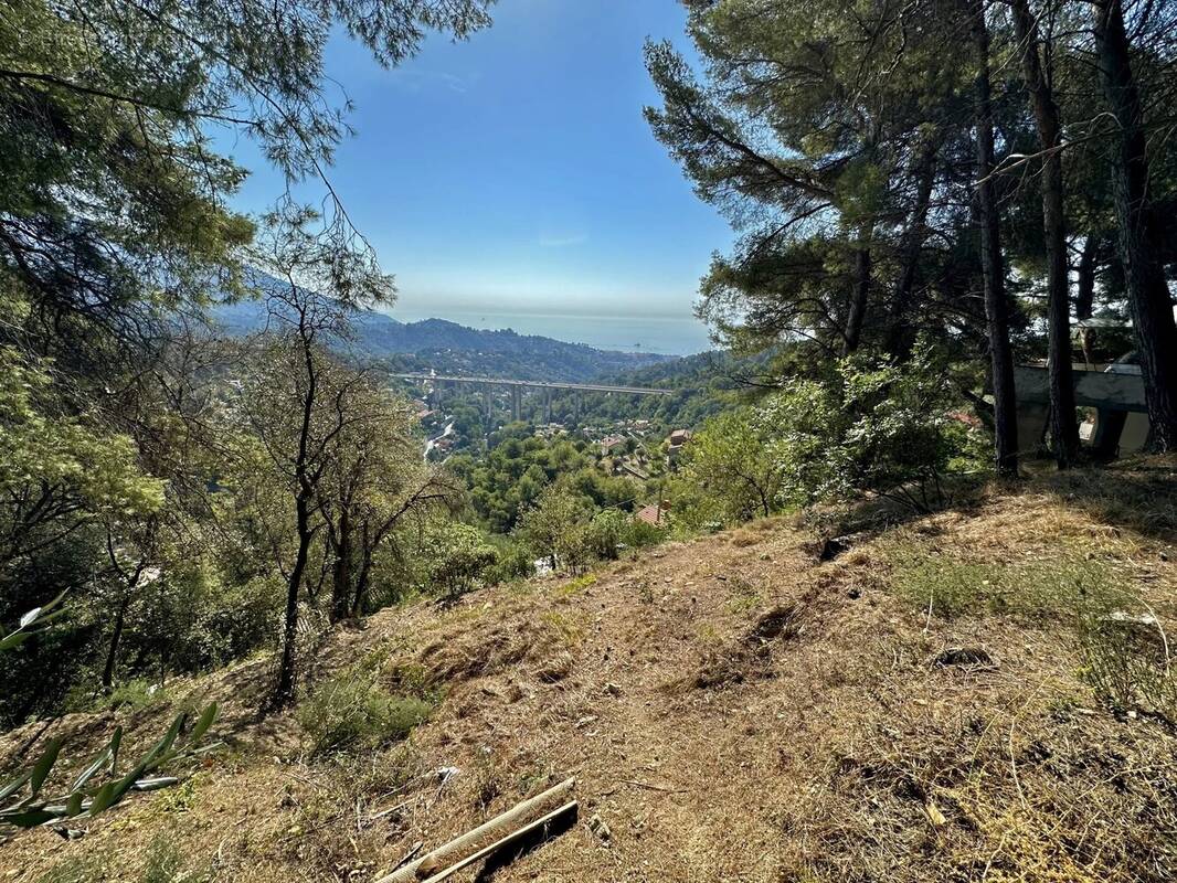 Terrain à SAINTE-AGNES