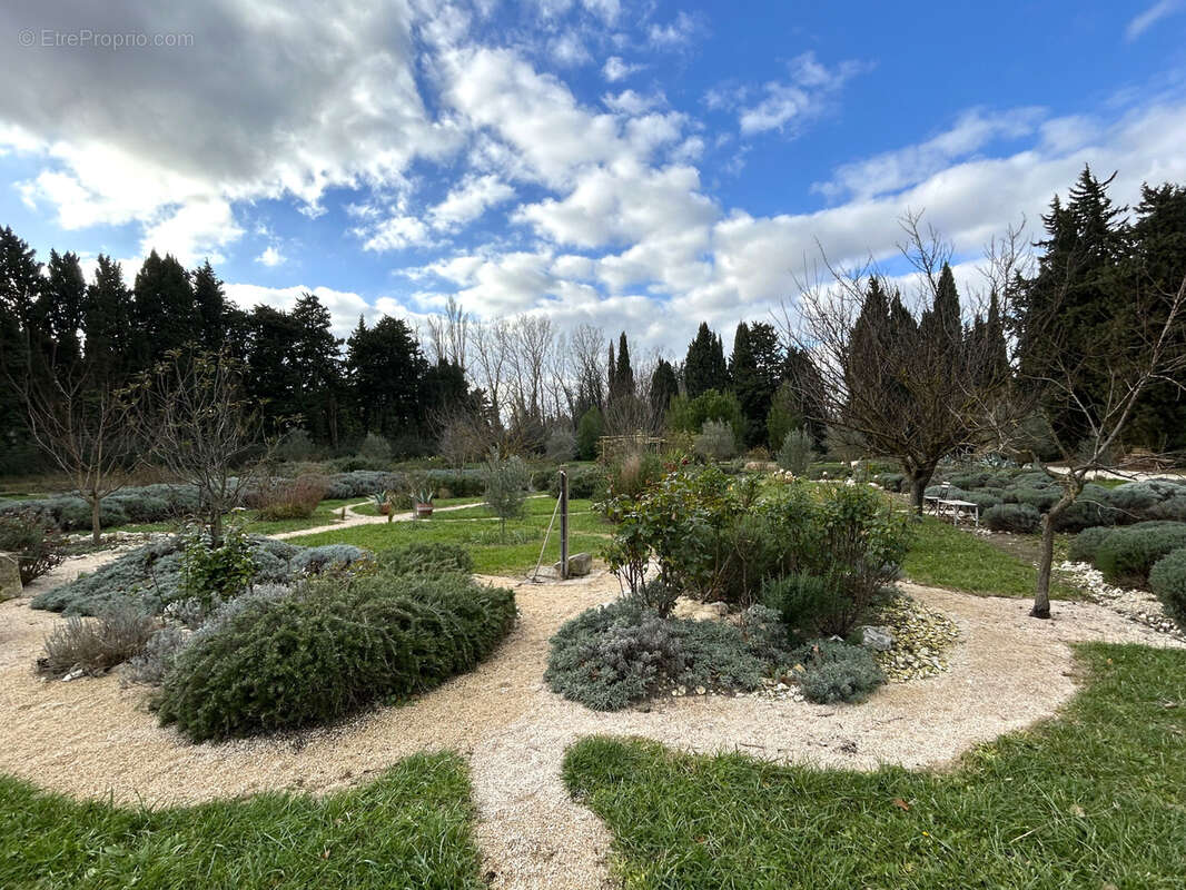Maison à SAINT-REMY-DE-PROVENCE