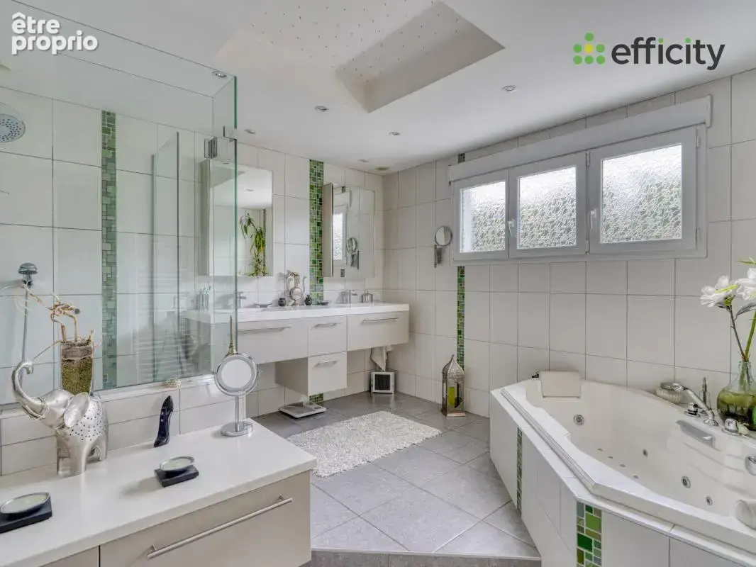 Maison 9 pièces 205 m² à vendre à Chavanoz (38230) - photo 11