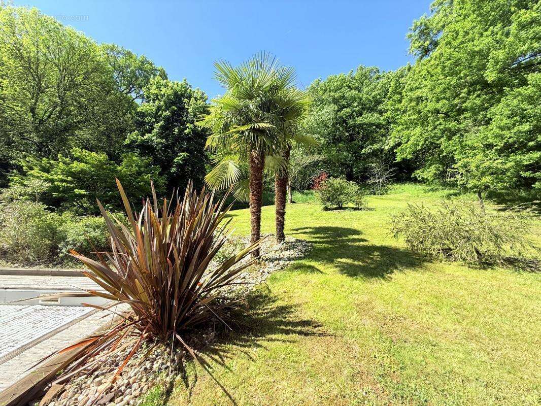 Maison à SAINT-AIGNAN