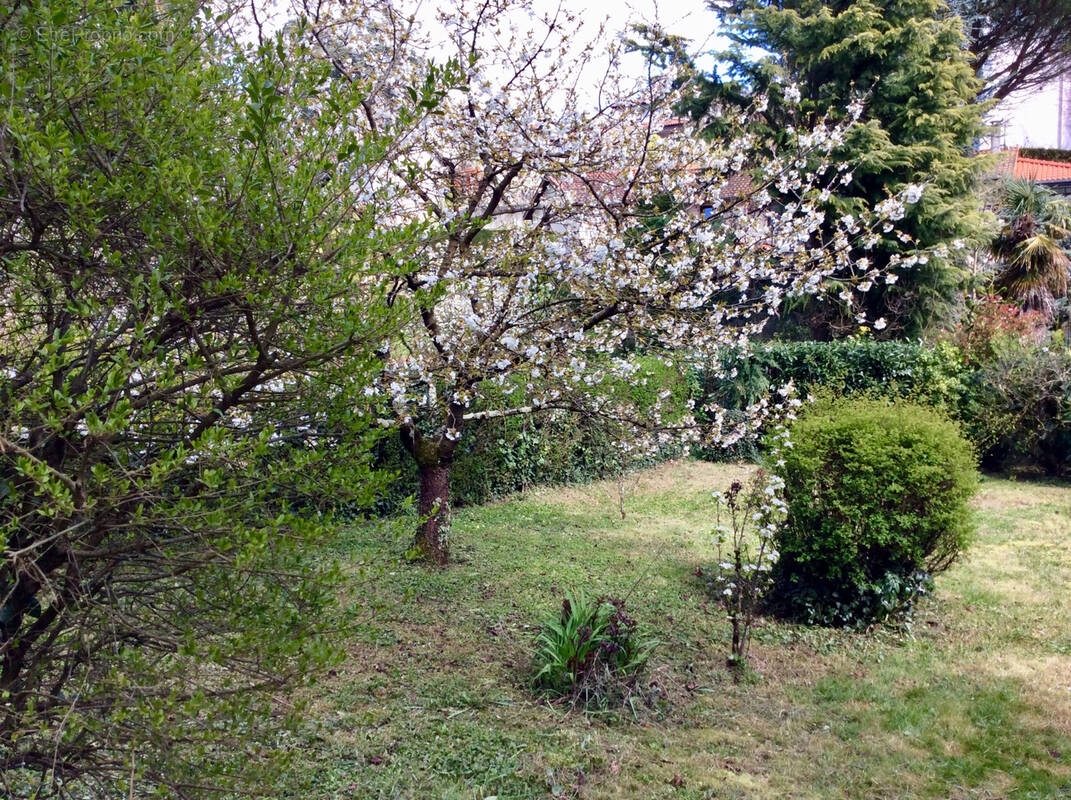 Maison à RILLIEUX-LA-PAPE