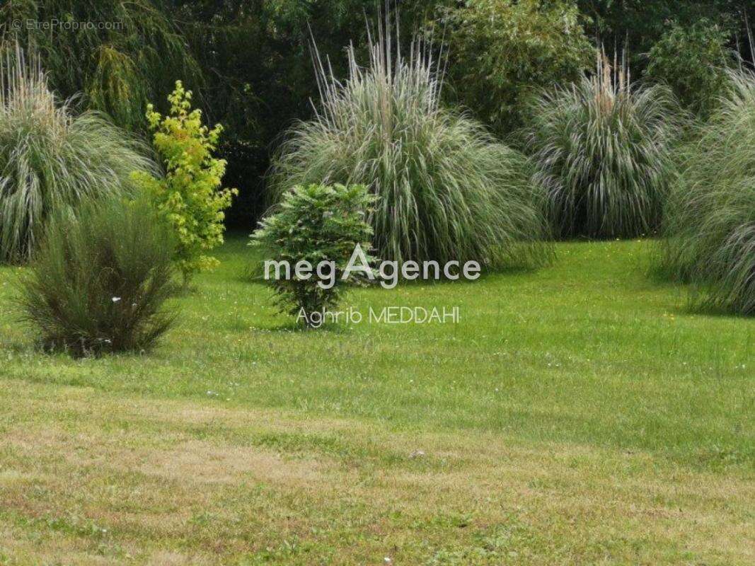 Demeure charentaise de charme sur 2 hectares avec domaine équestre - photo 8