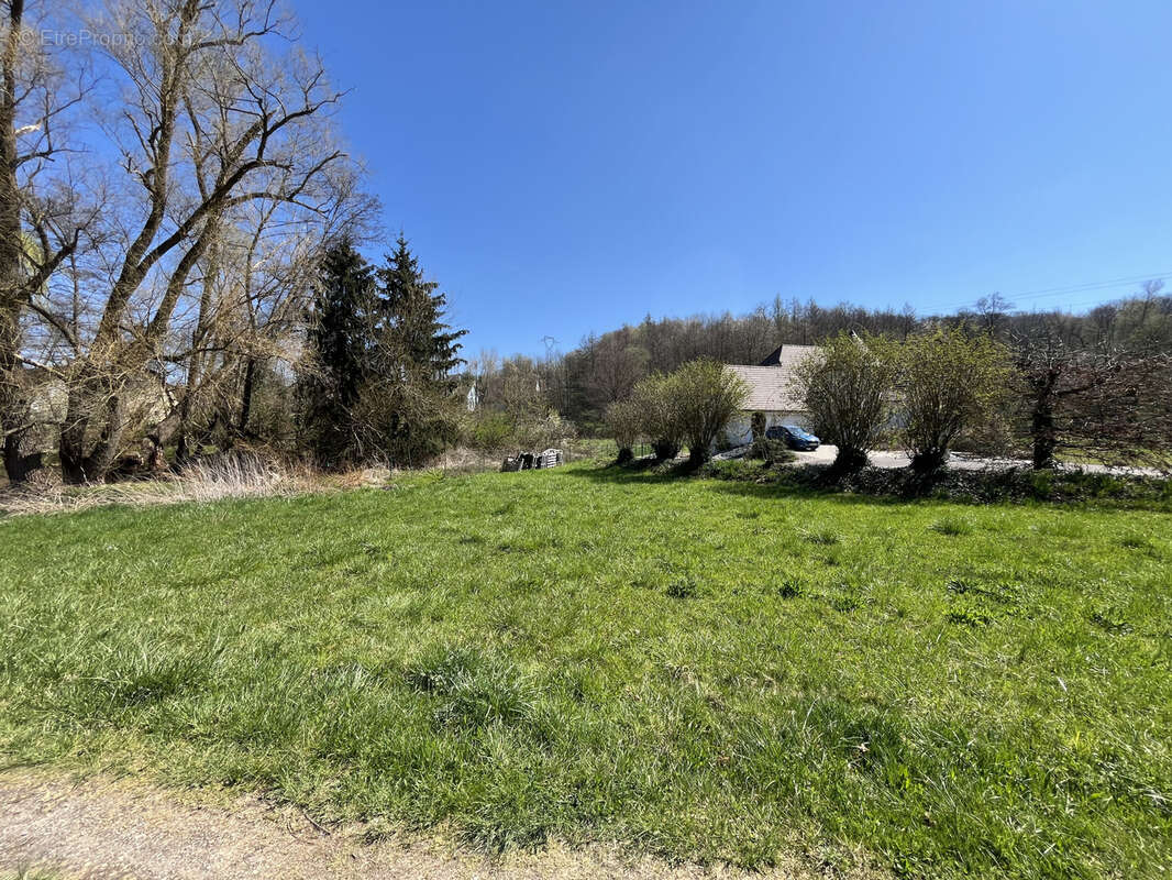 Terrain à HIRTZBACH