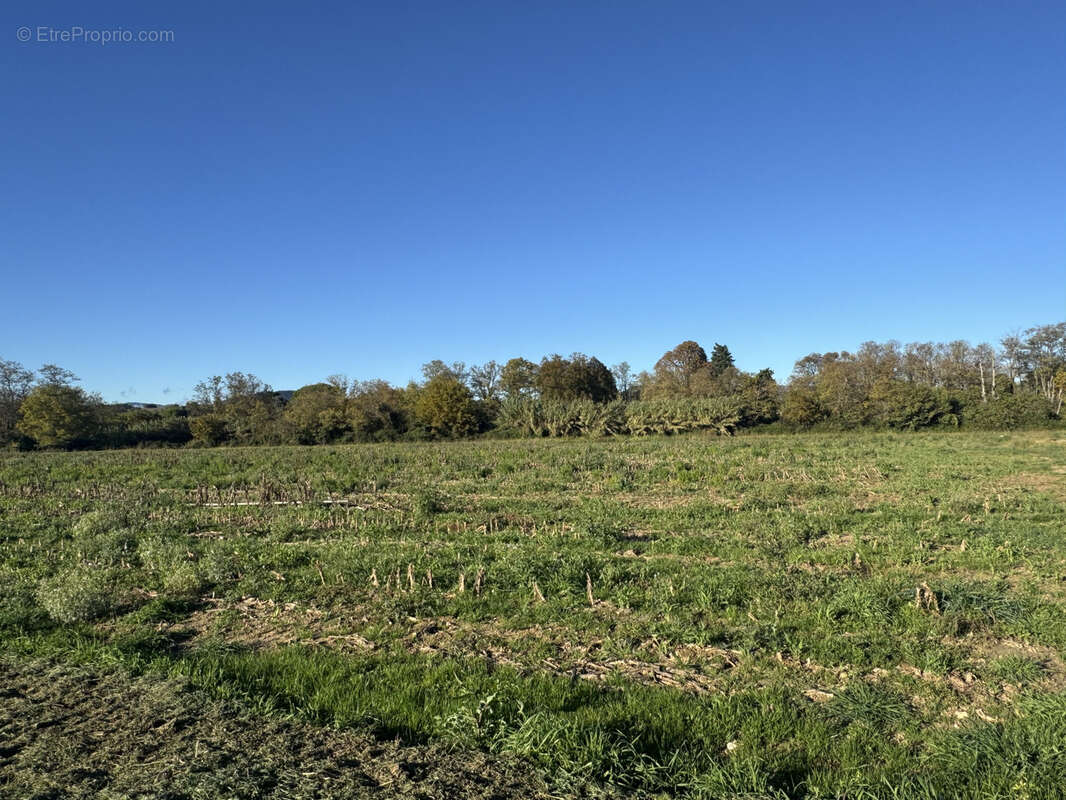 Terrain à MONTBOUCHER-SUR-JABRON