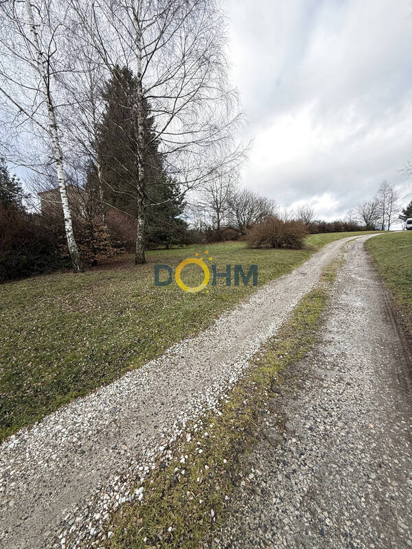 Terrain à SAINT-PAL-DE-MONS