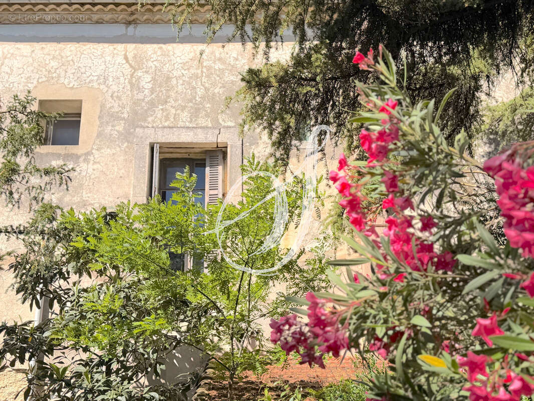 Maison à MONTPELLIER