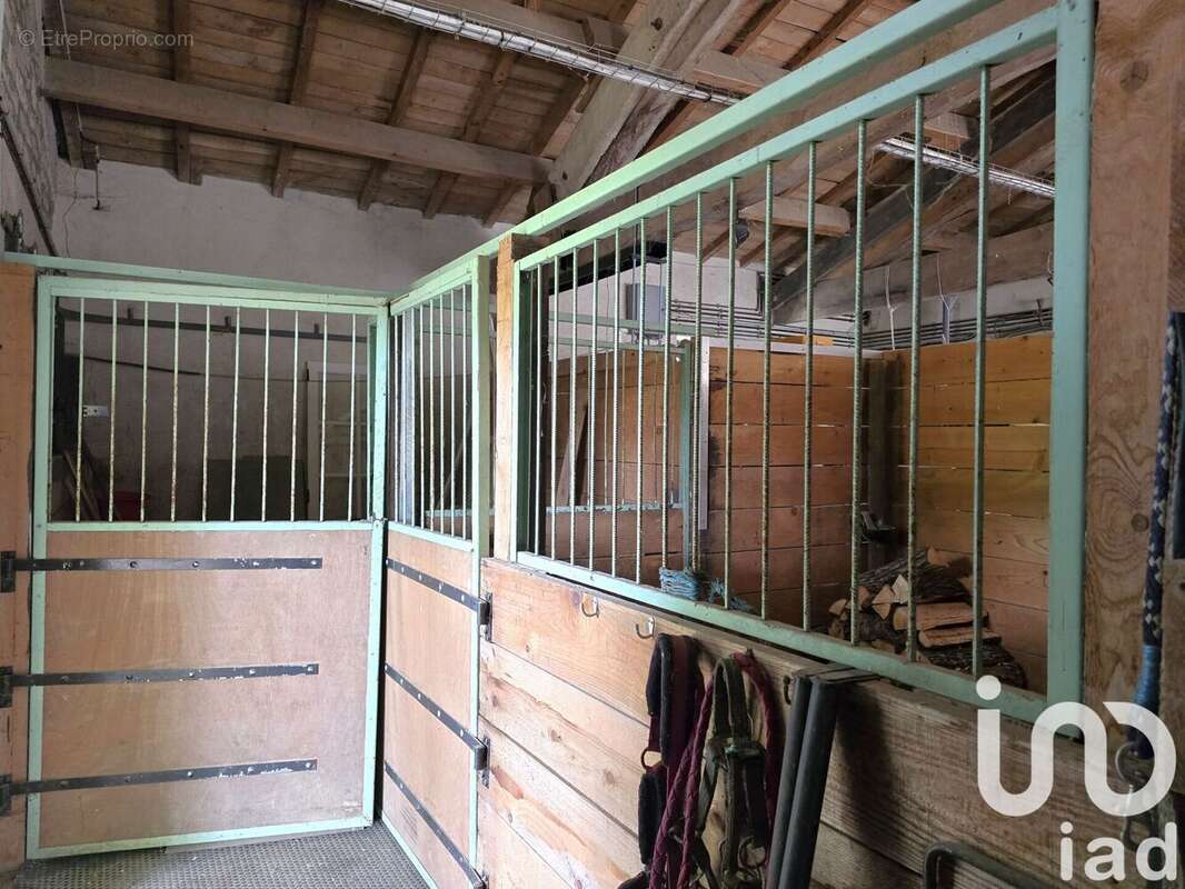 Photo 9 - Maison à SAINT-LAURENT-DE-COGNAC