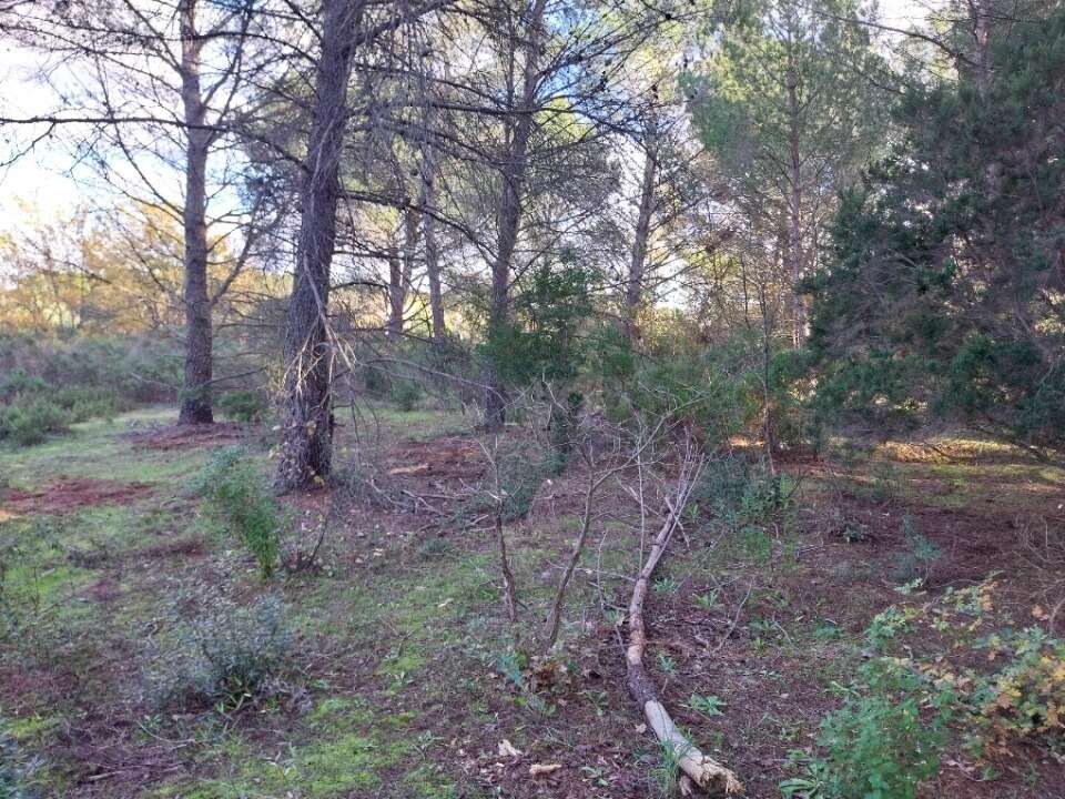 Terrain à PUGET-SUR-ARGENS