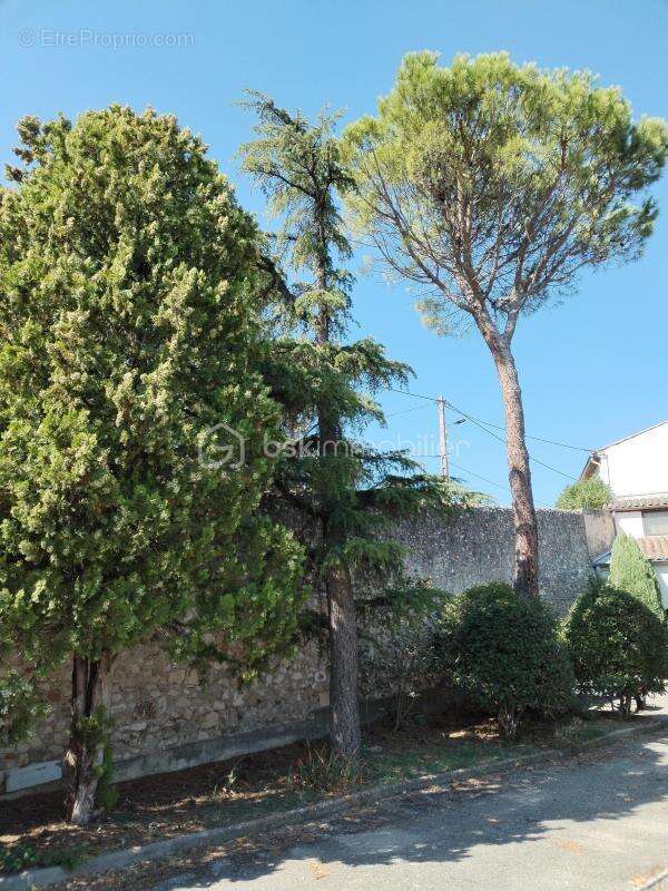 Maison à BOURG-SAINT-ANDEOL