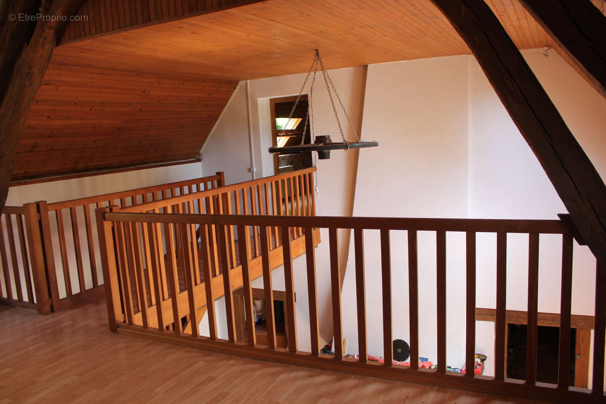 St Palais   Maison spacieuse  sur 1612 m2 dans le village. - photo 13