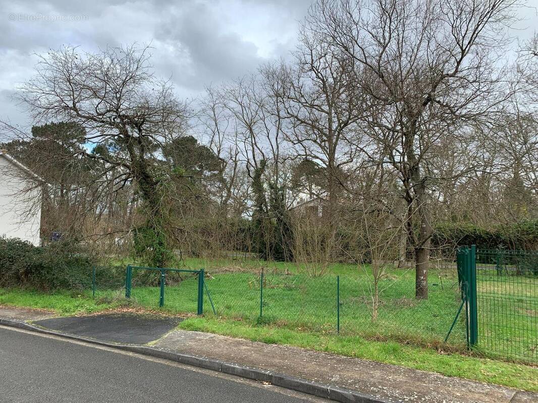 Photo 1 - Terrain à SAINT-AUBIN-DE-MEDOC