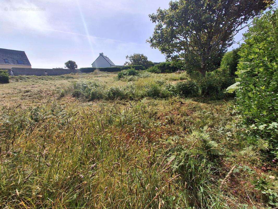 Terrain constructible - photo 5