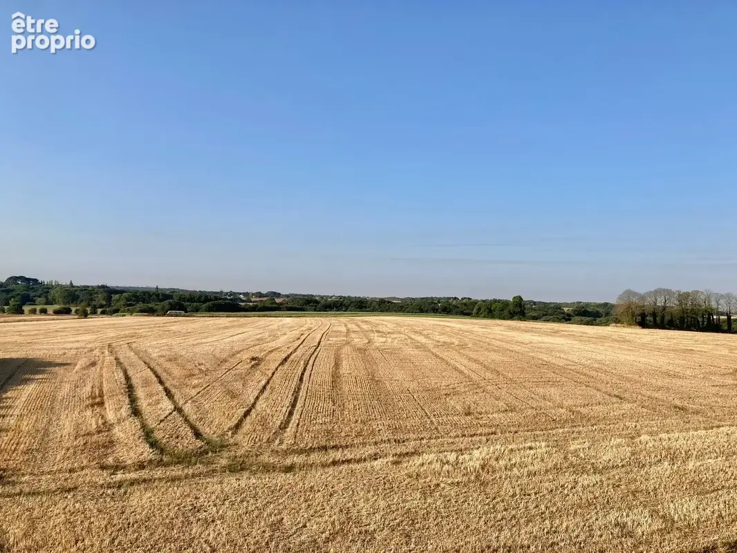 Maison 7 pièces 175 m² à vendre à Queven (56530) - photo 29