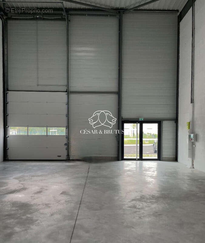 Commerce 399 m² à Rillieux-La-Pape  - photo 2
