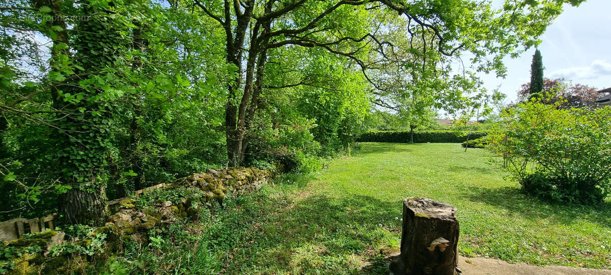 Terrain à VOUNEUIL-SOUS-BIARD