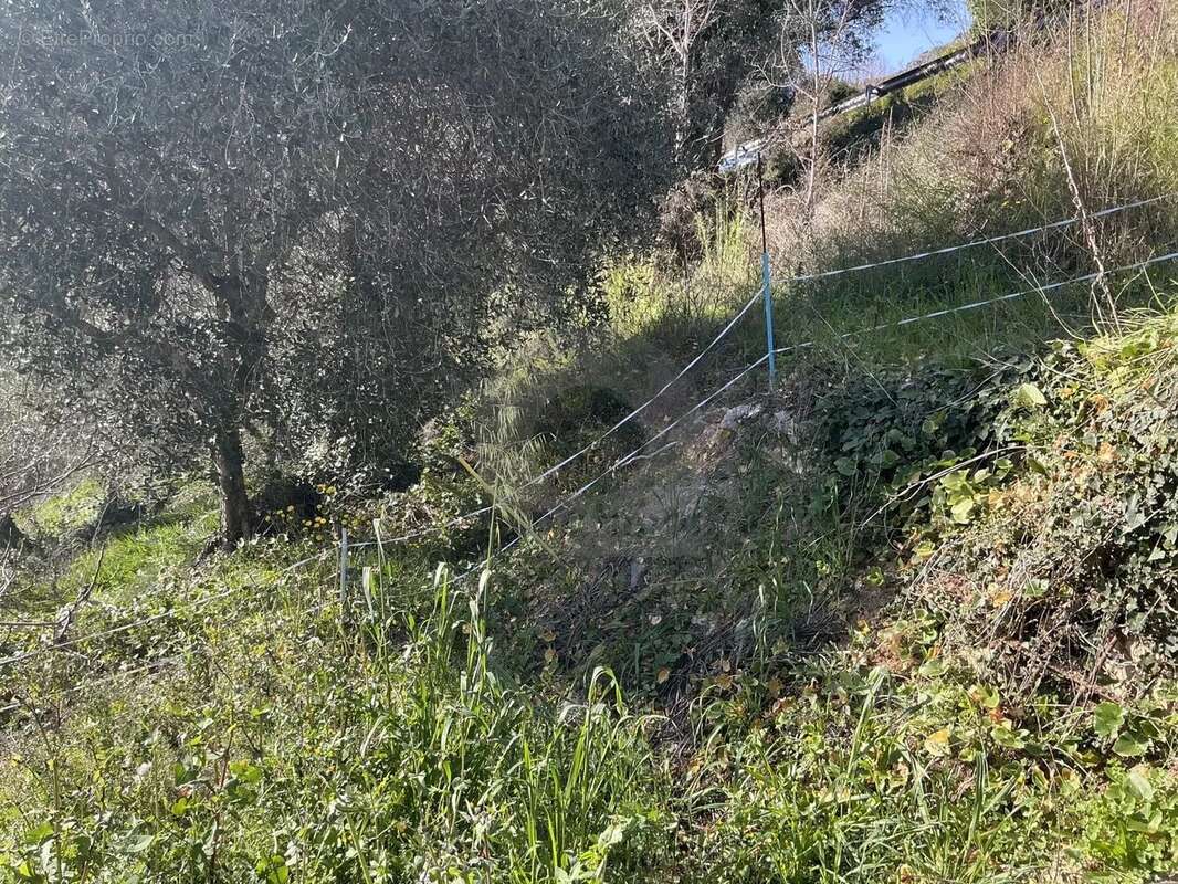 Terrain à GORBIO