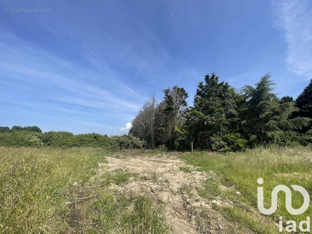 Photo 2 - Terrain à L&#039;ILE-D&#039;OLONNE