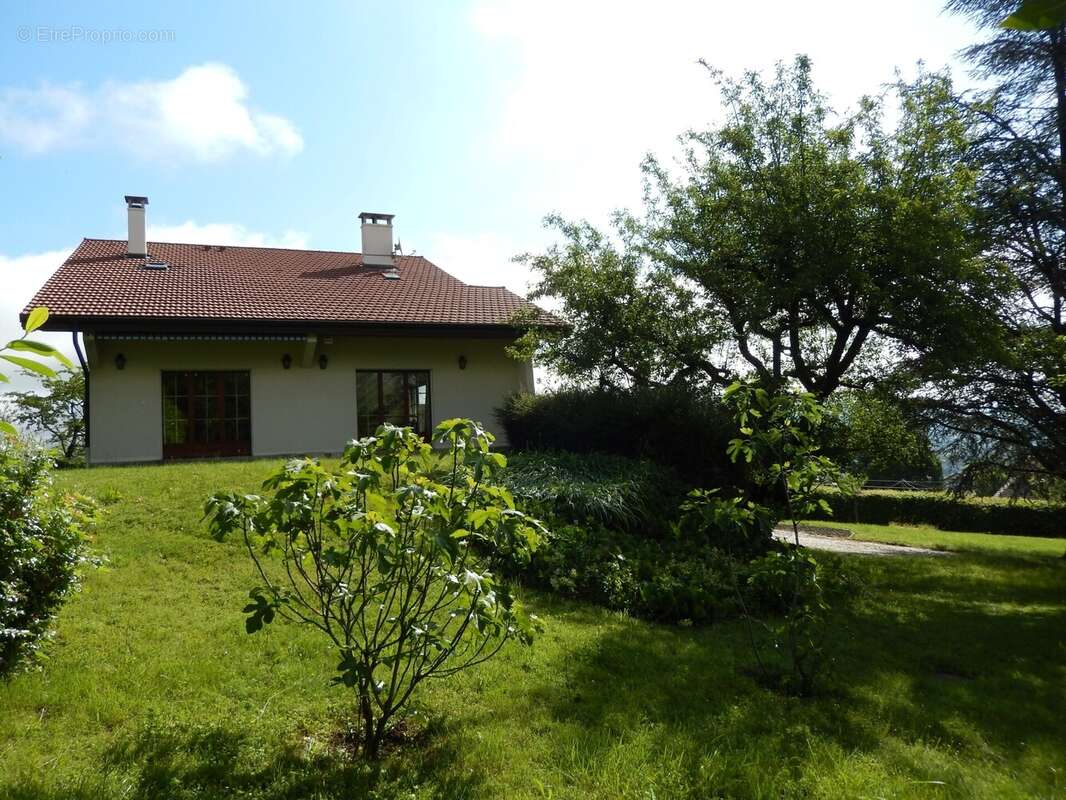 Maison à vendre à Vétraz Monthoux - Maison à VETRAZ-MONTHOUX