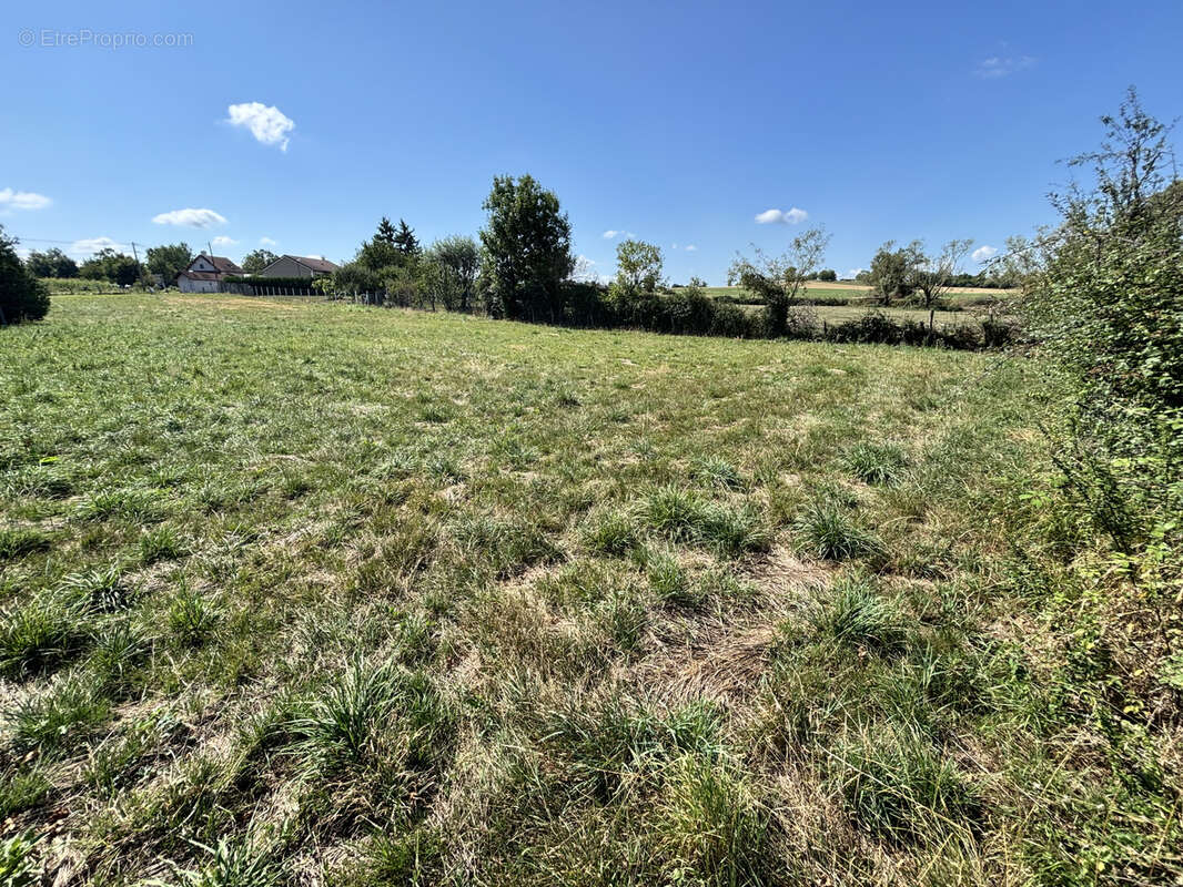 Terrain à SAINT-GERAND-LE-PUY
