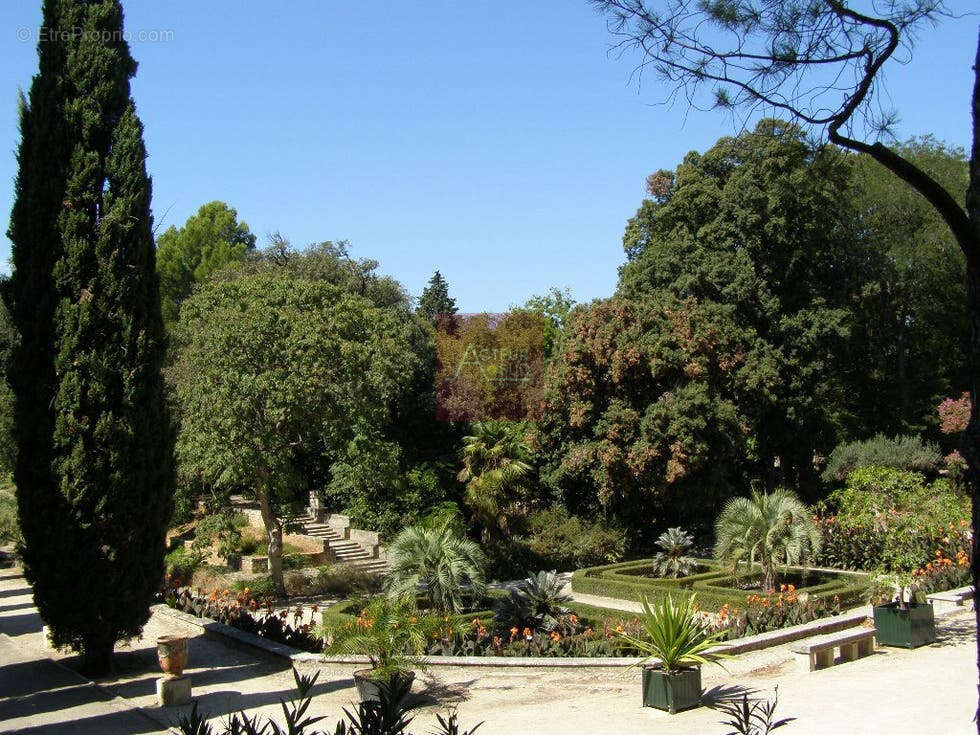 Vente appartement 3 pieces montpellier arceaux jardin des plantes - photo 6