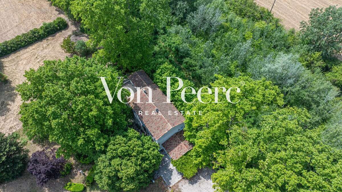 Mas provençal, 3 hectares à proximité d’Avignon - photo 2