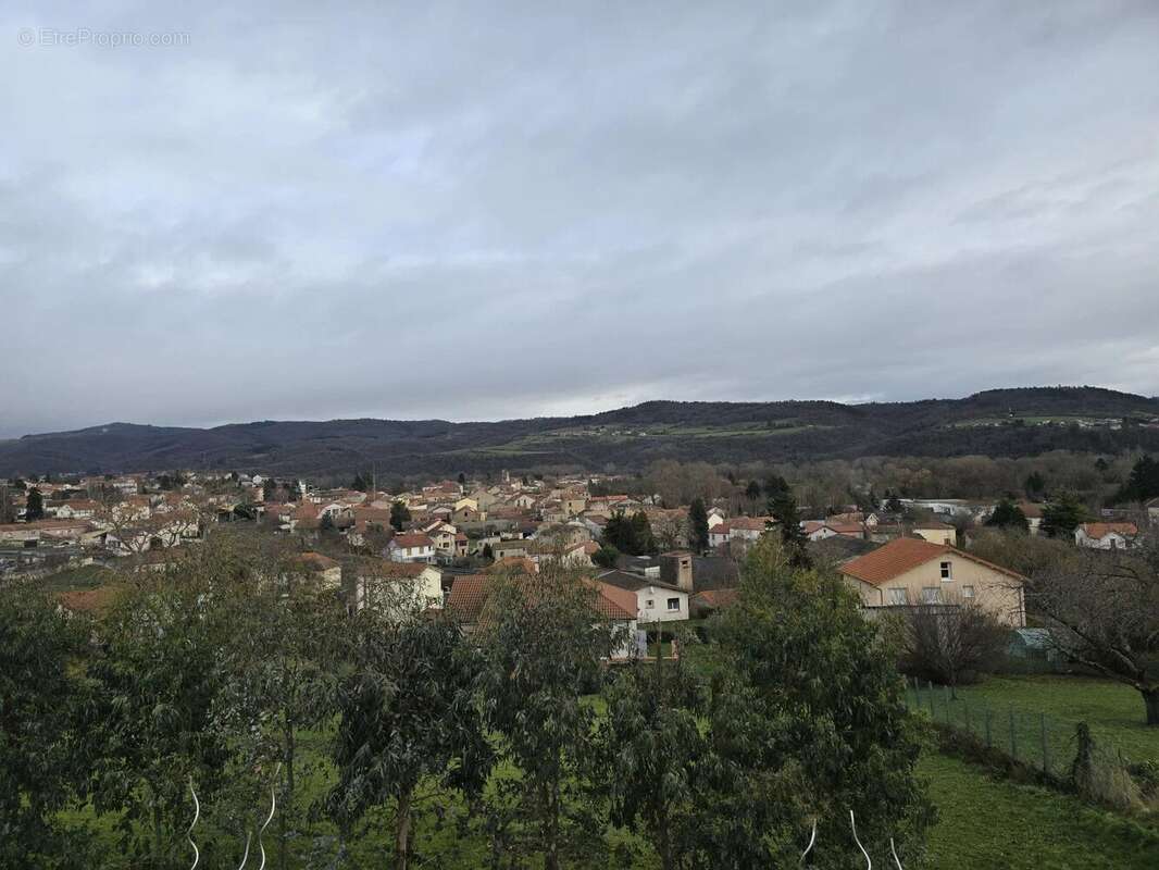 Vente Maison Brassac-les-mines(63570) 220 000ï¿œ - photo 4