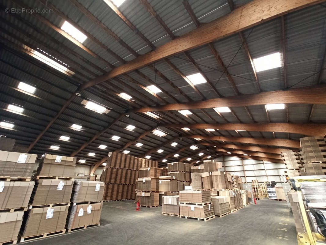 Commerce à SAINT-JUNIEN