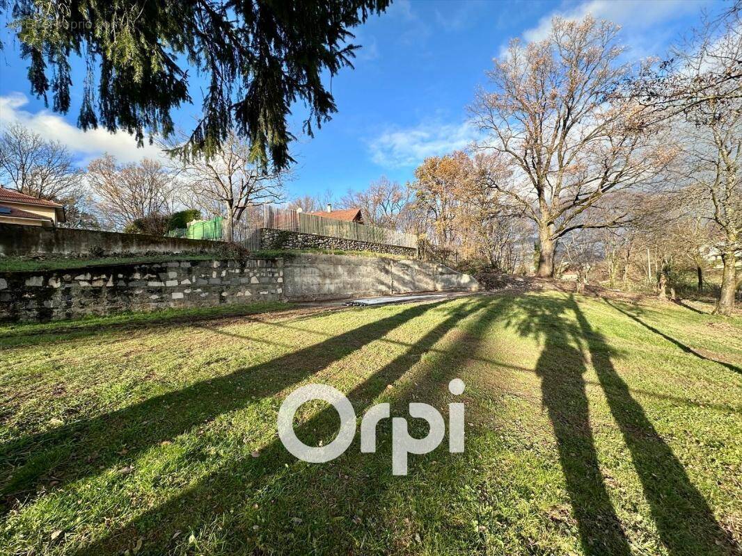 Terrain à BRIE-ET-ANGONNES