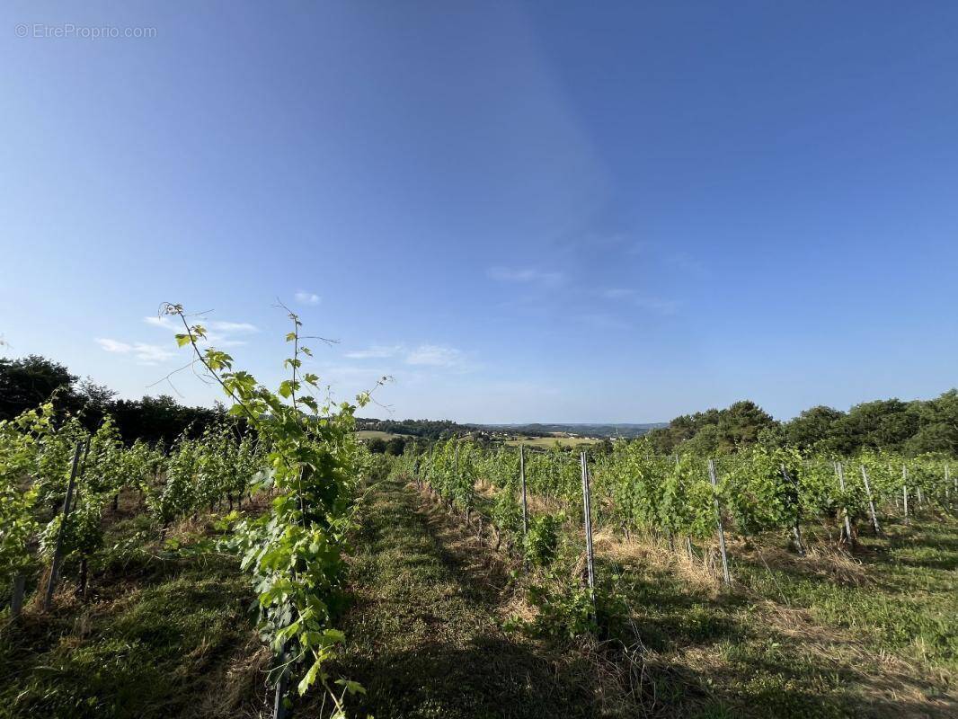 Terrain à PUY-D'ARNAC