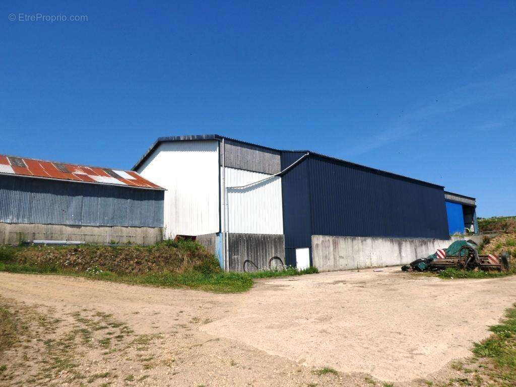 Exploitation agricole - photo 2